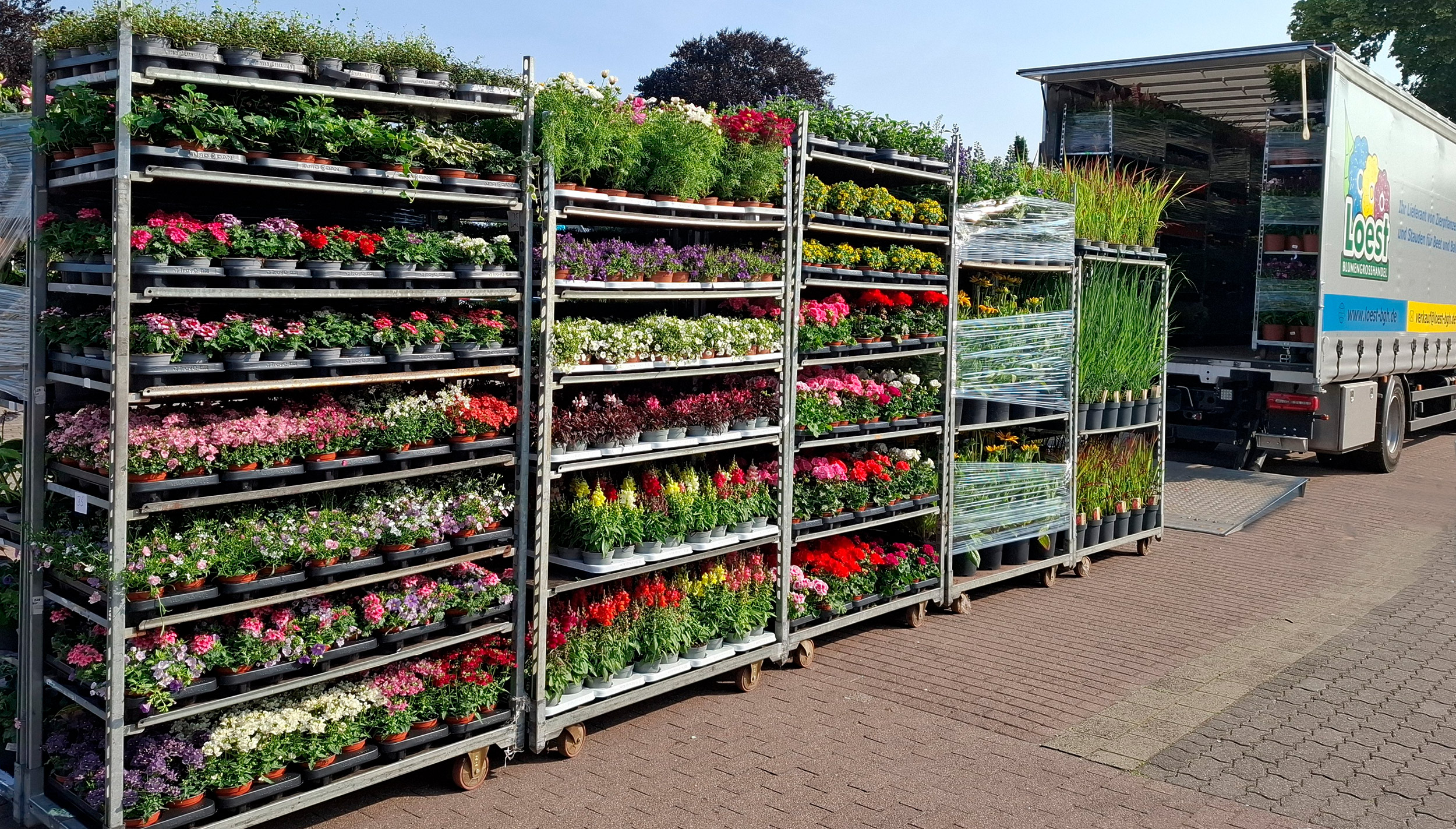 Blumen-LKW von Loest BGH